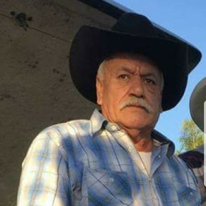 Meet your Posher, Alfredo